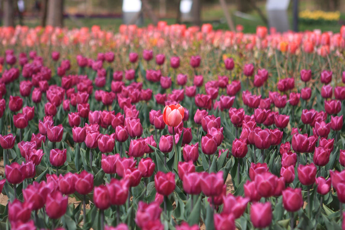 點擊新窗口打開